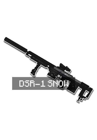 DSR1 SNOW KIT
